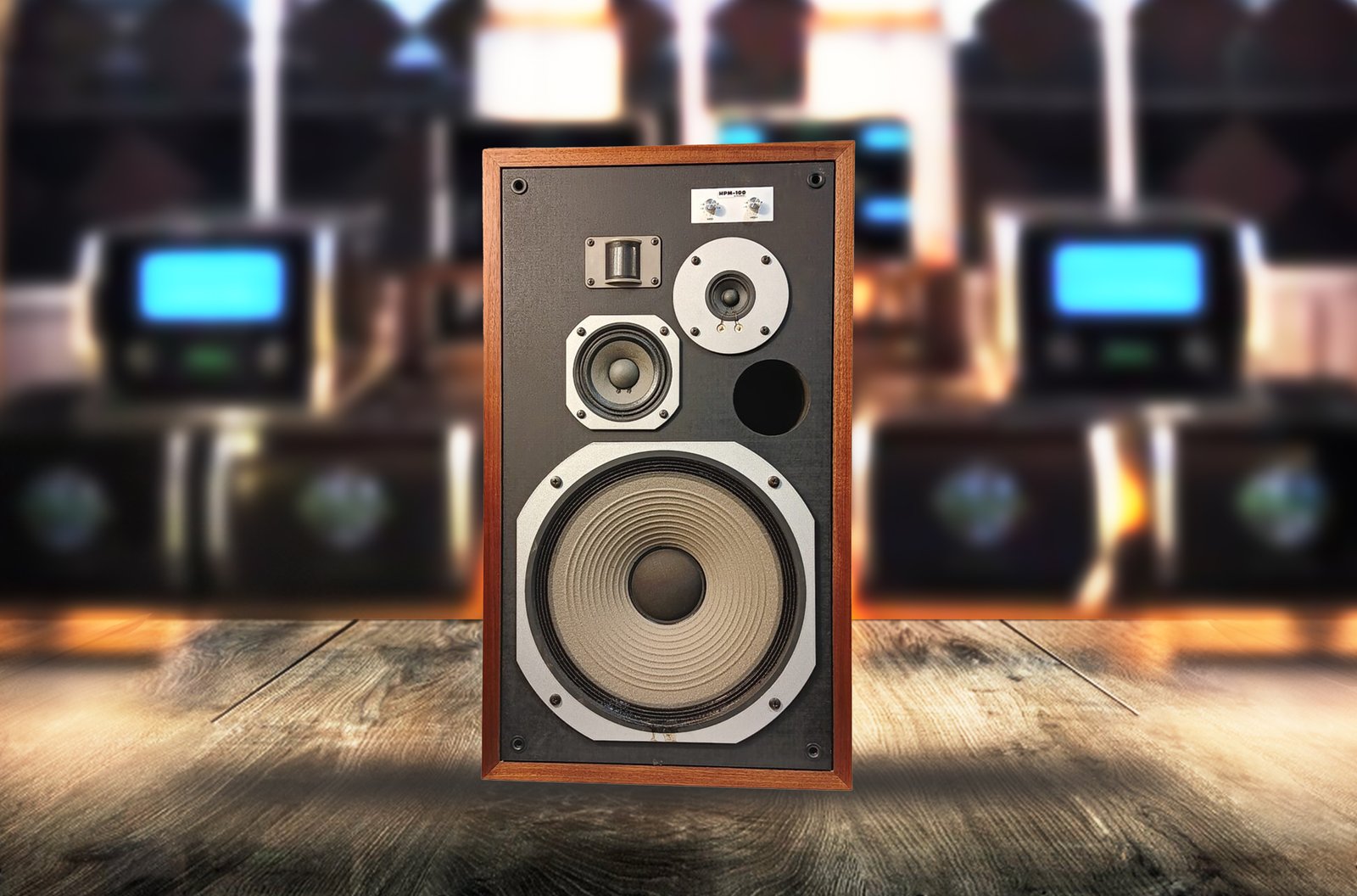 Near Mint Pioneer HPM-100 Speakers | Serviced | 1-Year Warranty