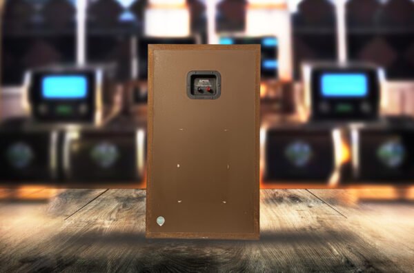 Near Mint Pioneer HPM-100 Speakers