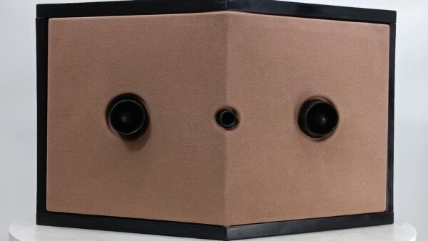 Bose901 - Serial Vi (10)