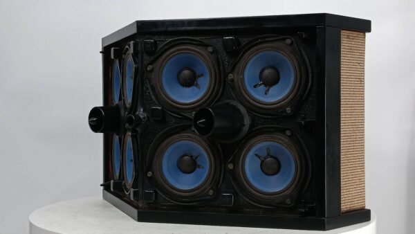 Bose901 - Serial Vi (11)