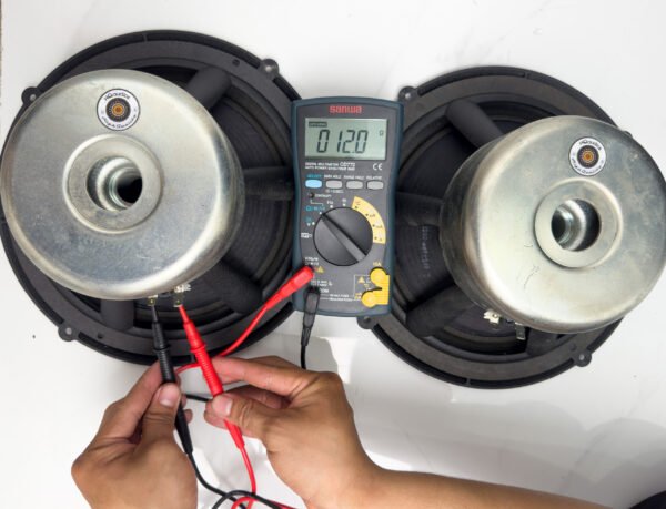 POWERFUL JBL SVA2100 SPEAKERS