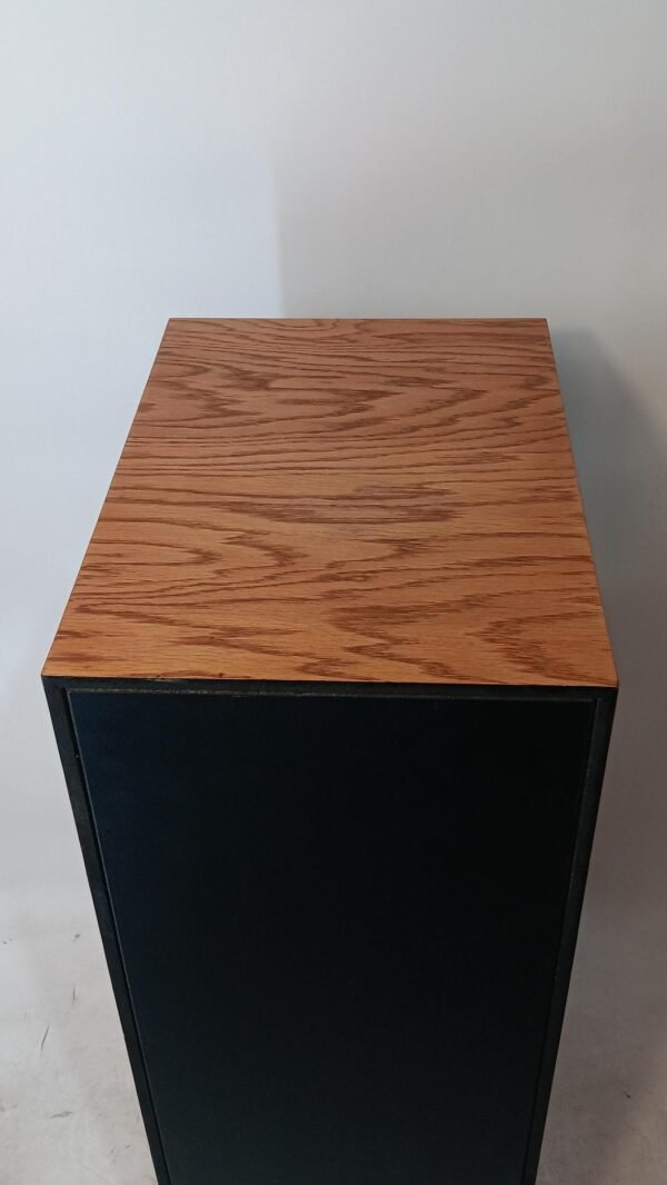 Tracktrix Klipsch (6)