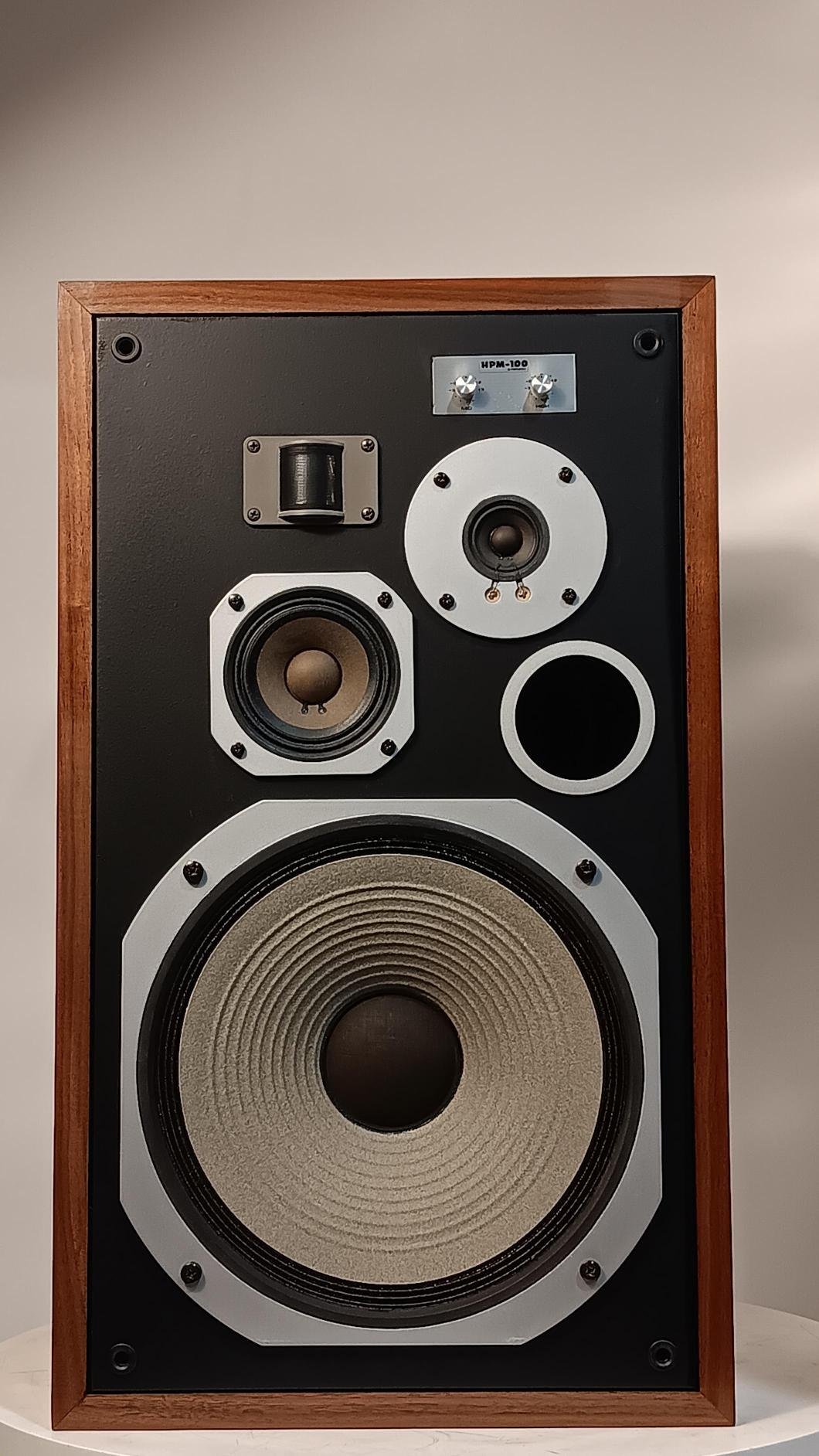 Pioneer Hpm100 Pioneer Hpm100