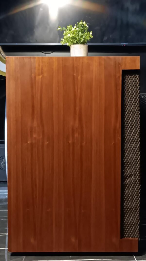 Phương Tiện Truyền Thông (5)