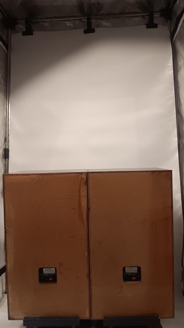 Phương Tiện Truyền Thông - 2026-01-31t094947.164