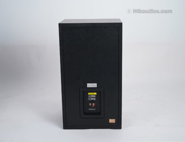 Yamaha Ns1000_2qe0080_5