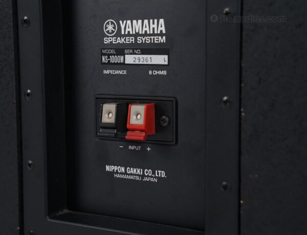 Yamaha Ns1000_2qe0080_6