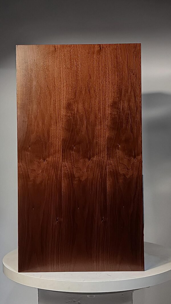 Pioneer_hpm100_speakers_1tolc0891 (13)