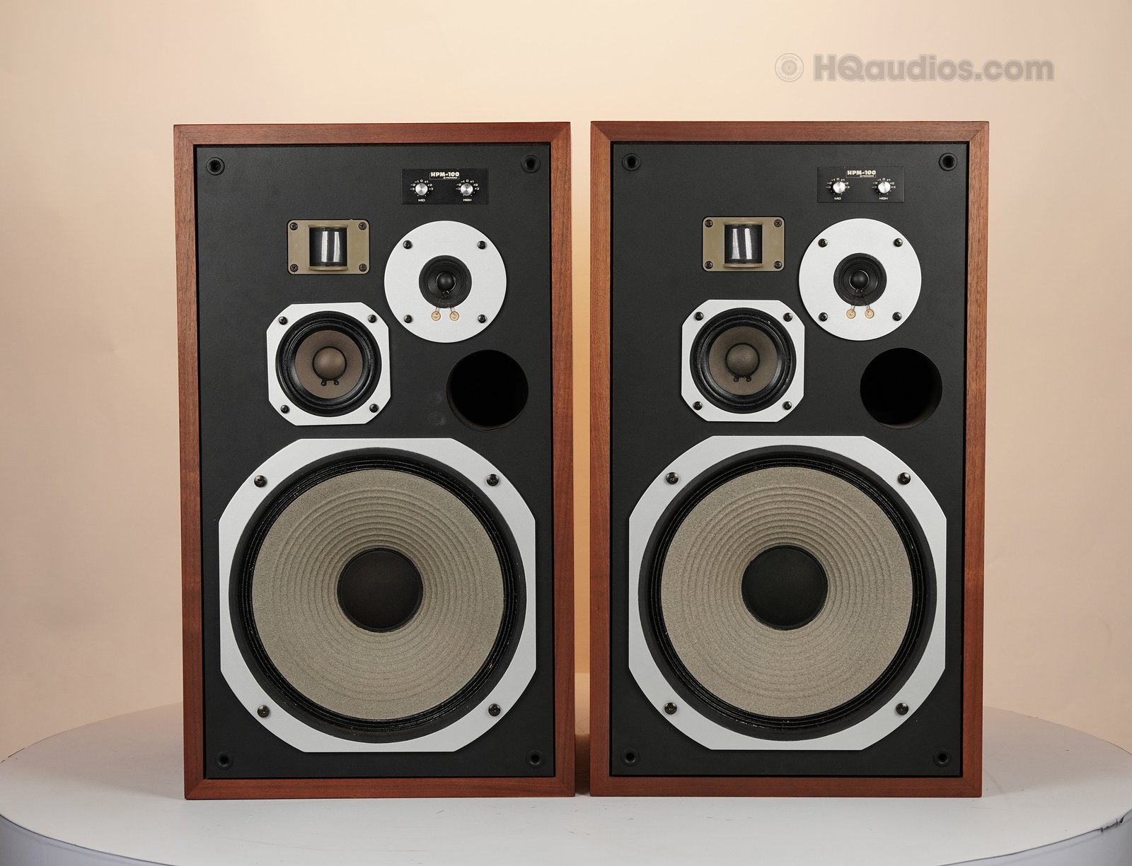 2qe0107_pioneer_hpm-100_10 2qe0107_pioneer_hpm-100_10