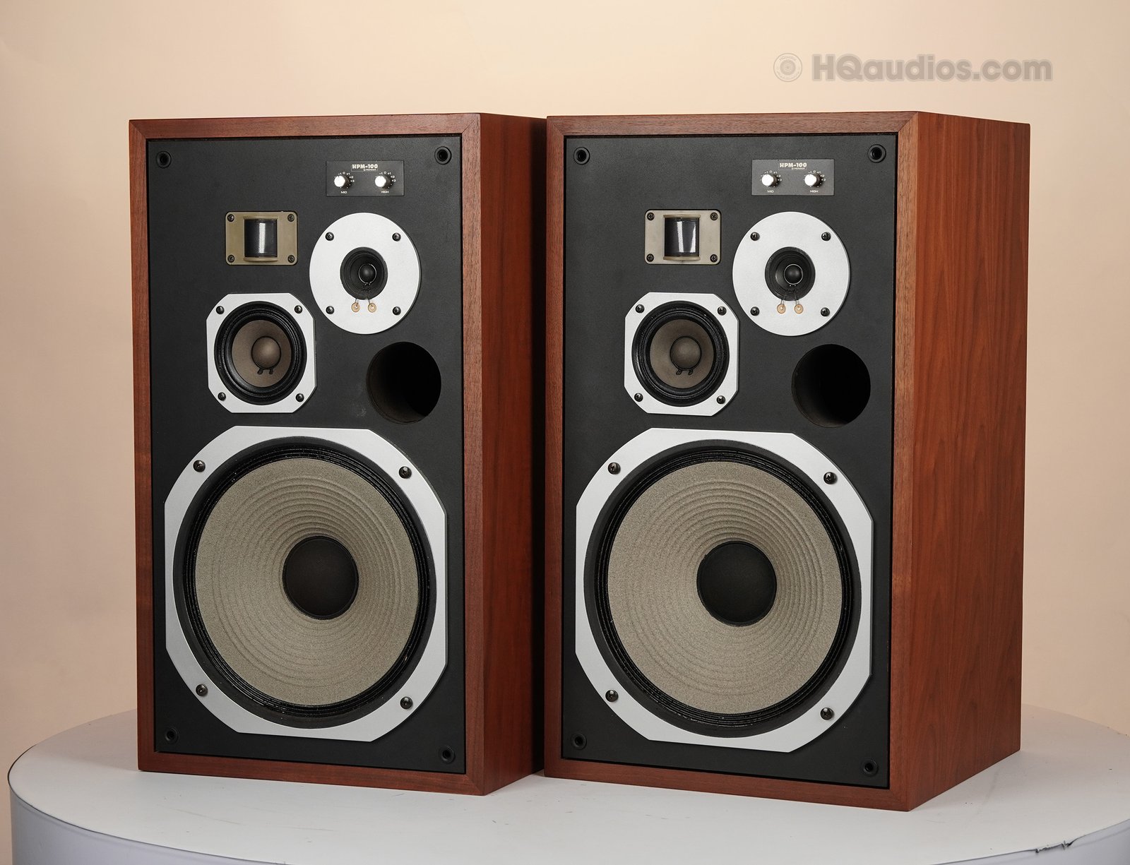 2qe0107_pioneer_hpm-100_11 2qe0107_pioneer_hpm-100_11