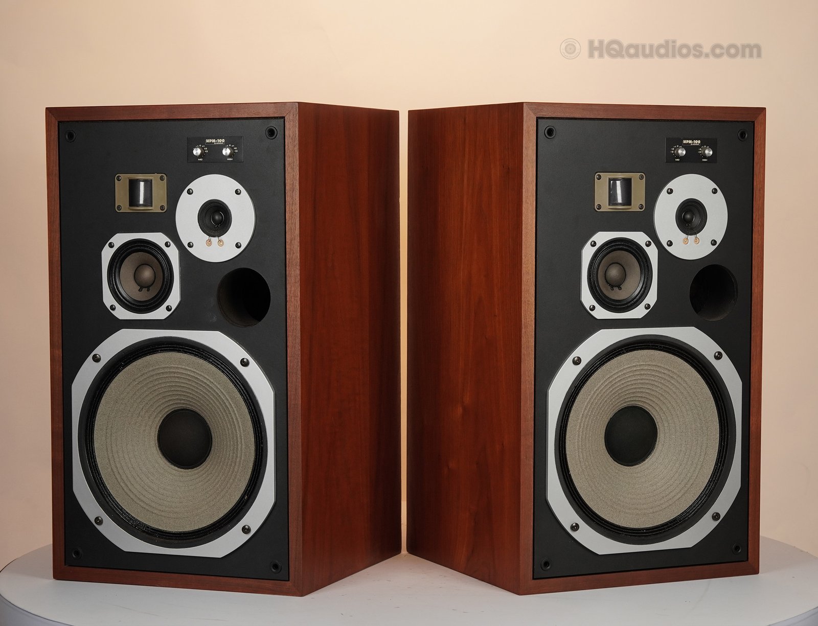 2qe0107_pioneer_hpm-100_25 2qe0107_pioneer_hpm-100_25