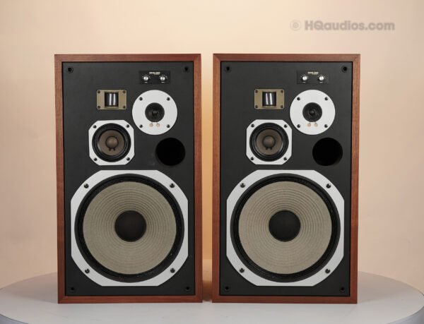 2qe0107_pioneer_hpm-100_34