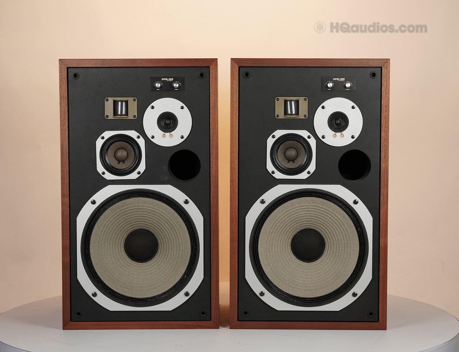 2qe0107_pioneer_hpm-100_34 2qe0107_pioneer_hpm-100_34