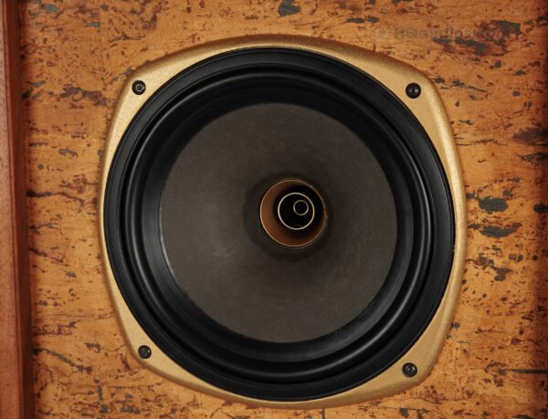 2qe0114_tannoy_stirling Tw_16