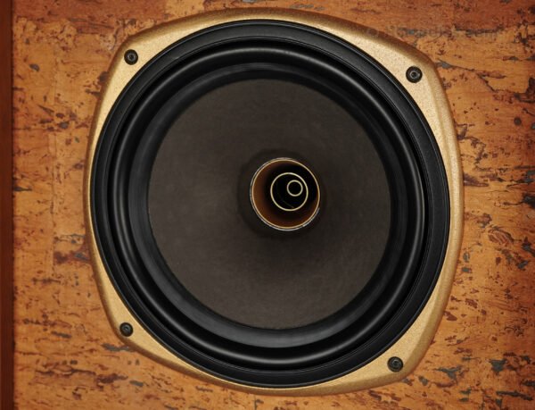 2qe0114_tannoy_stirling Tw_18