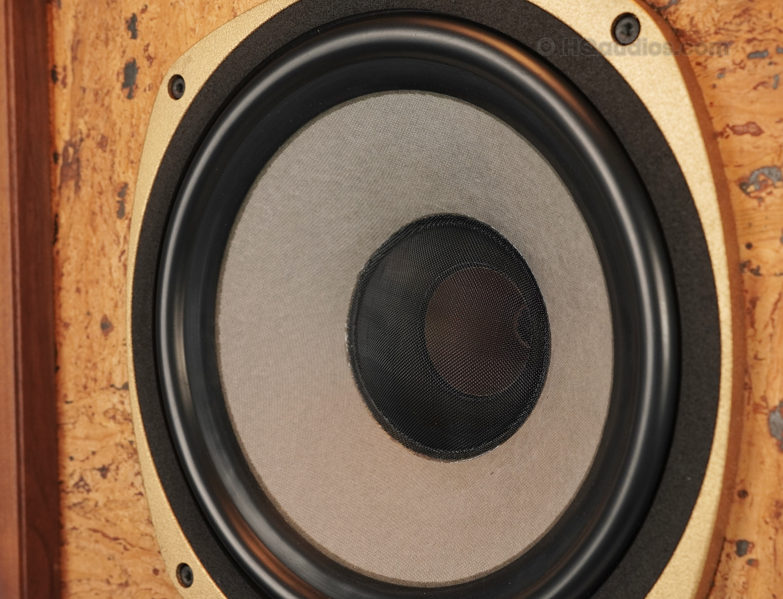 2qe0119_tannoy_stirling_6 2qe0119_tannoy_stirling_6