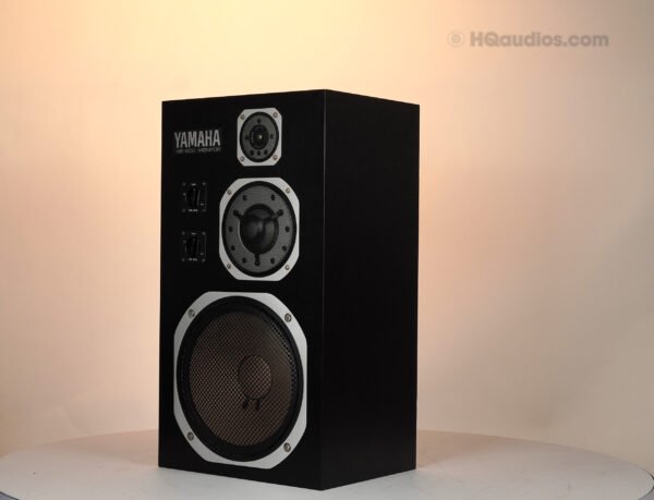 2qe0122_yamaha_ns-1000 Black_10