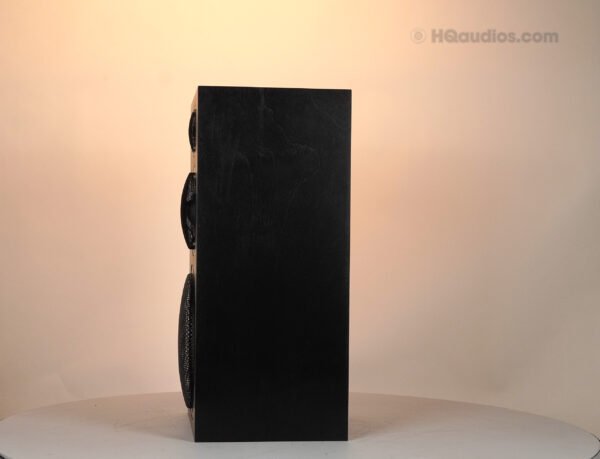 2qe0122_yamaha_ns-1000 Black_11