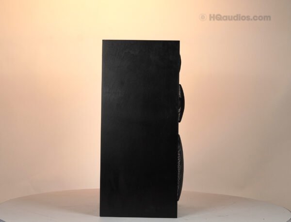 2qe0122_yamaha_ns-1000 Black_5