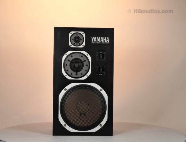 2qe0122_yamaha_ns-1000 Black_7