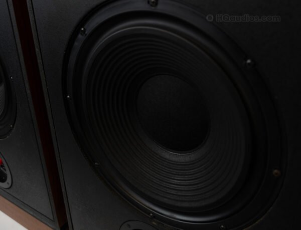 1tolc2686_klipsch Kg4 Speakers (19)