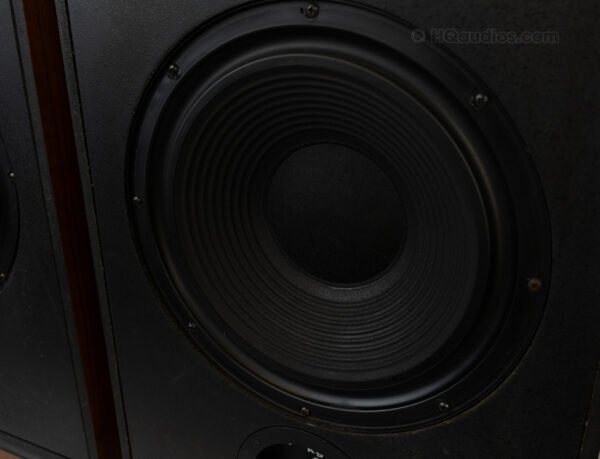1tolc2686_klipsch Kg4 Speakers (20)