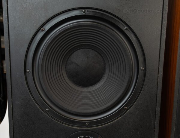 1tolc2686_klipsch Kg4 Speakers (8)