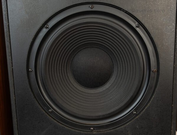 1tolc2686_klipsch Kg4 Speakers (9)