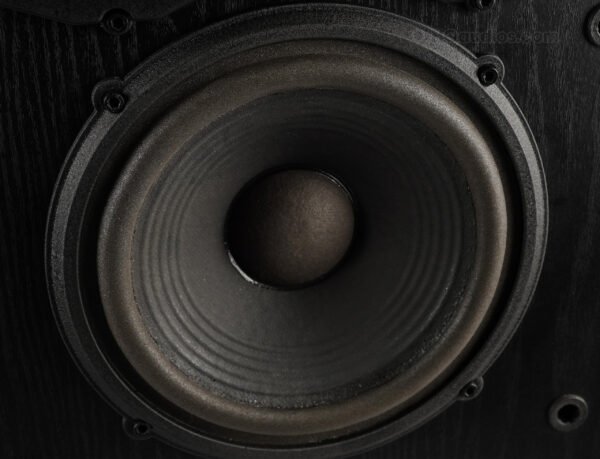 2nh0002_klipsch_sva-1800_speakers_18