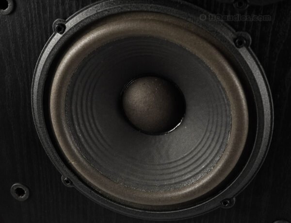 2nh0002_klipsch_sva-1800_speakers_19
