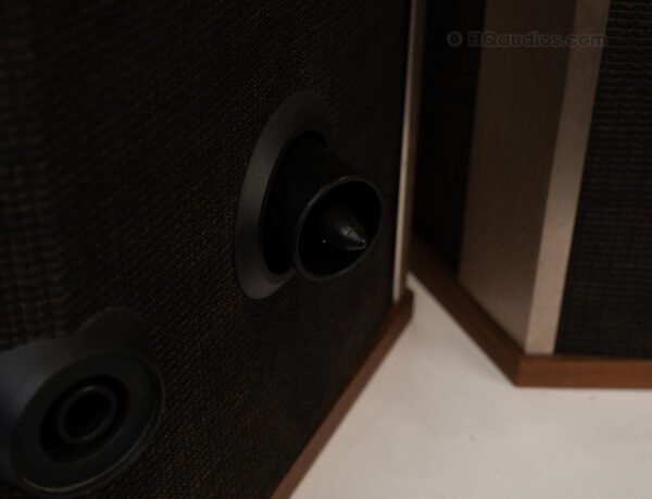 1lilc2469_bose 901-5 Speakers (12)