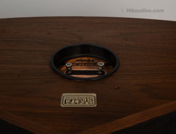 1lilc2469_bose 901-5 Speakers (19)
