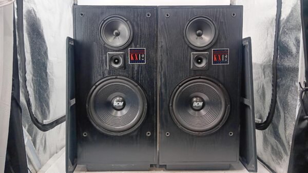Dcm_kx12_speakers_tts0080 (10)