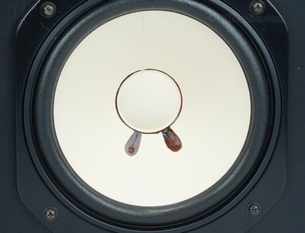 2qe0175 (14)