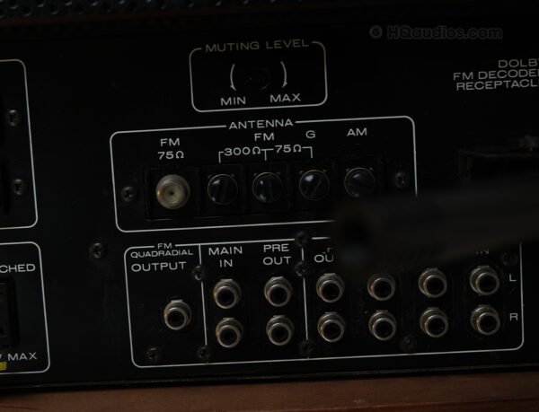 Dqs1831 (11)